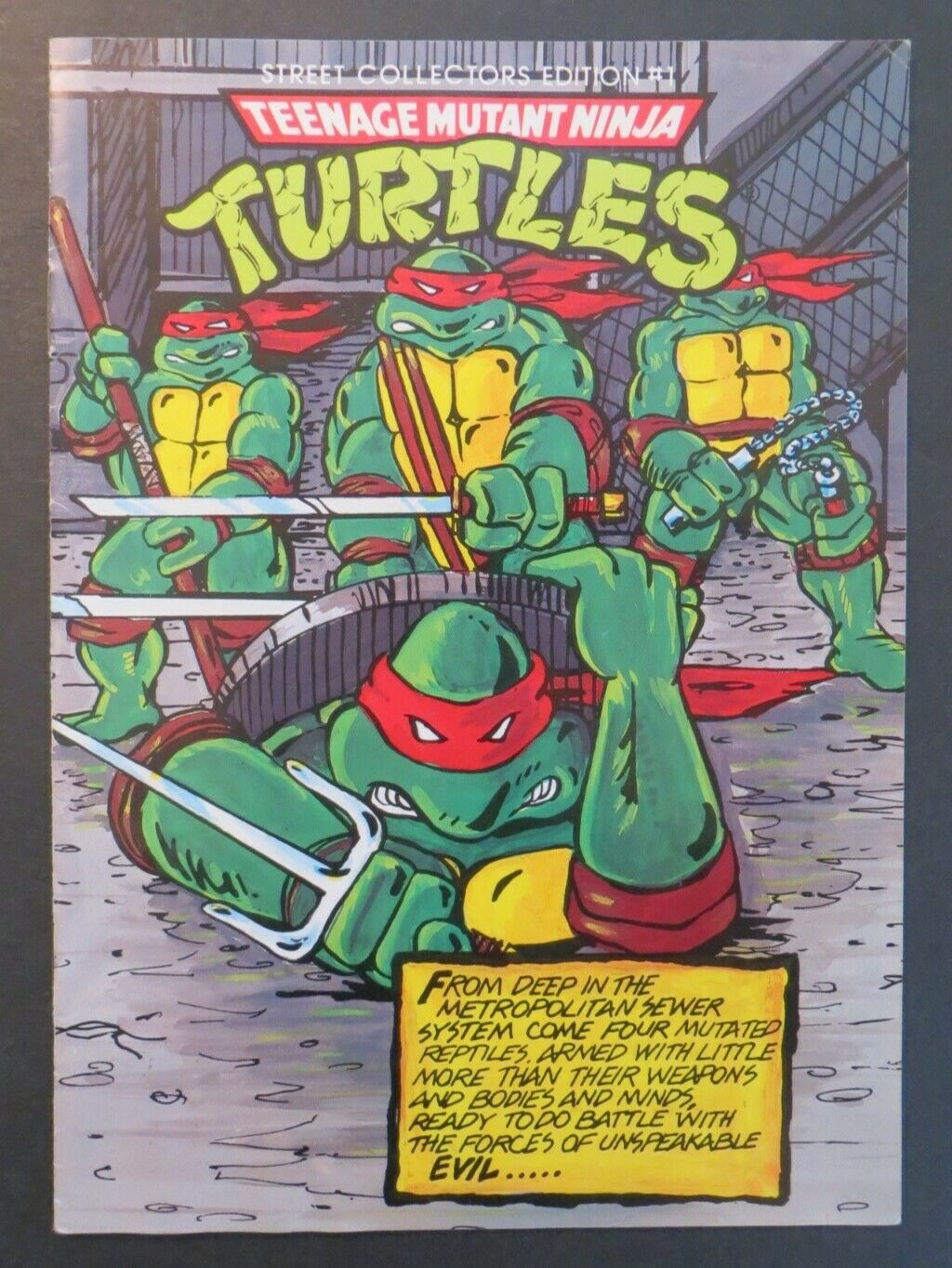 Comicsvalue Teenage Mutant Ninja Turtles Street Collectors