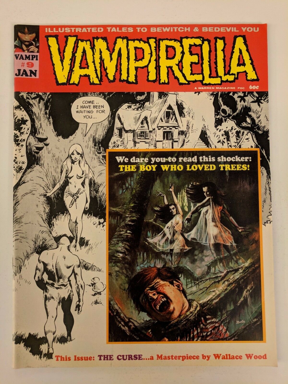 Comicsvalue.com - Vampirella #9 Comic Warren Magazine 1971 Horror Boris ...